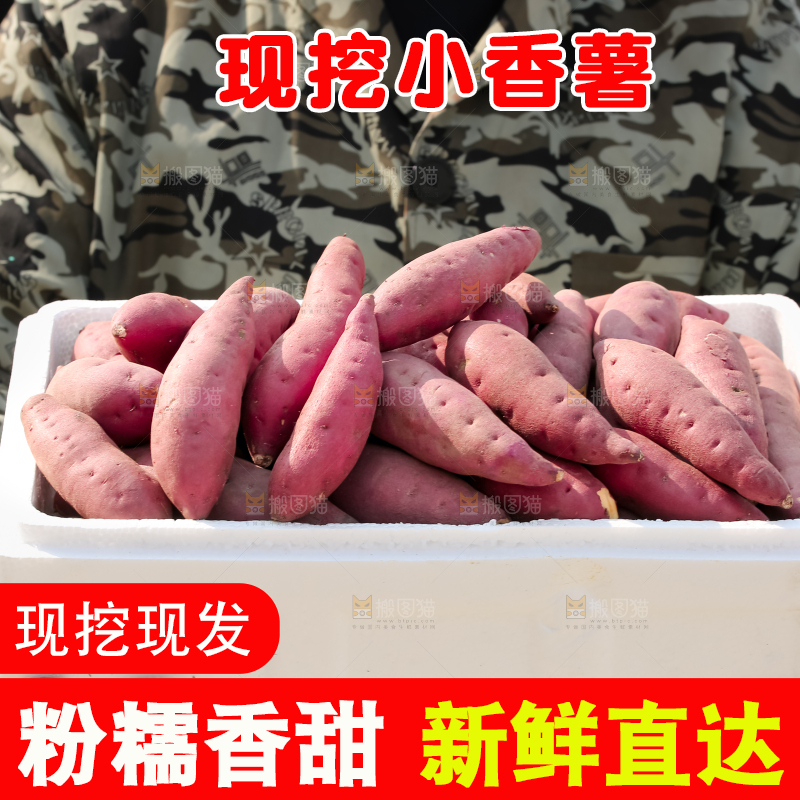 小香薯