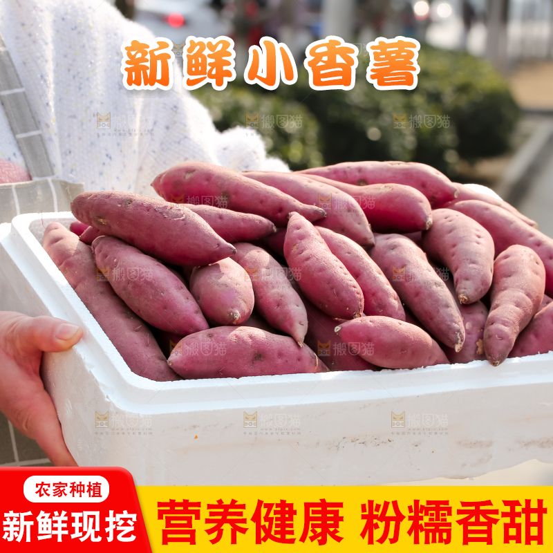 小香薯