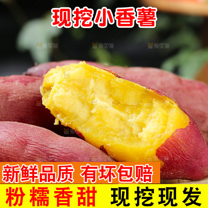 小香薯