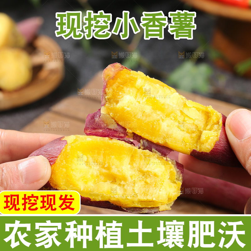 小香薯