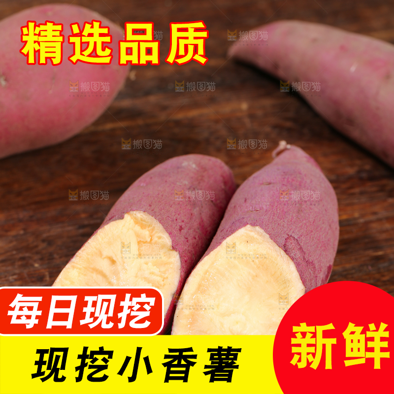 小香薯