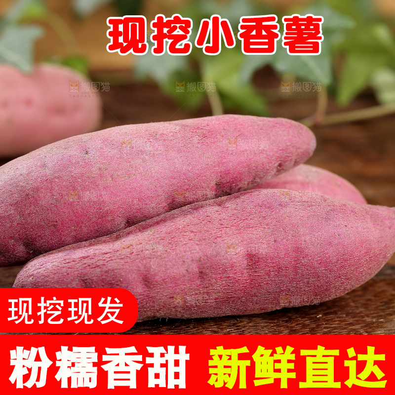 小香薯