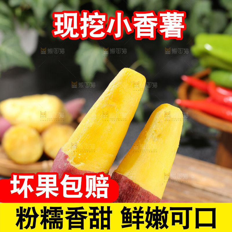 小香薯