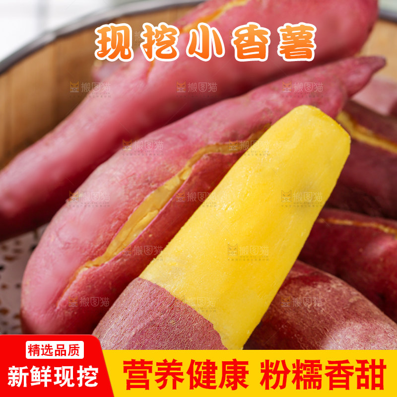 小香薯