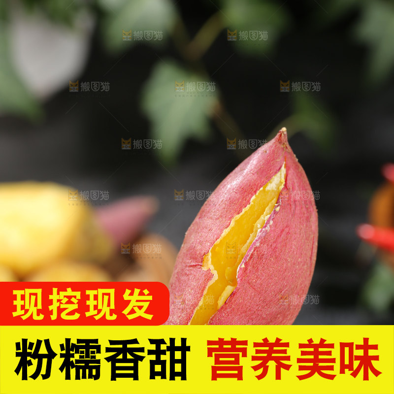 小香薯