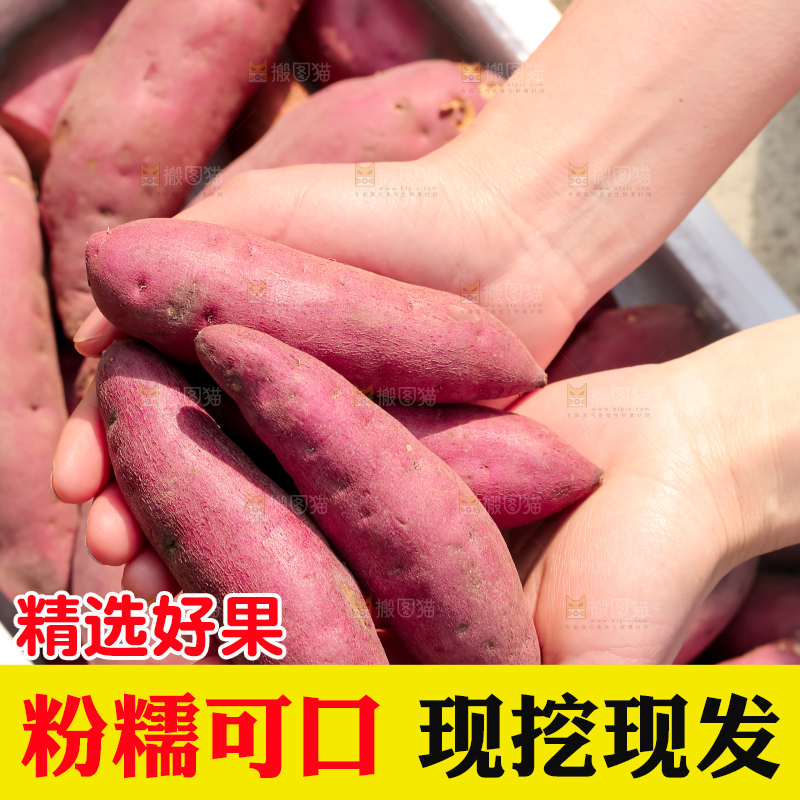 小香薯