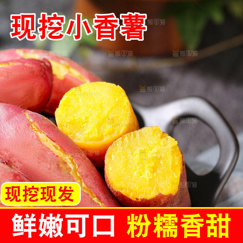 小香薯