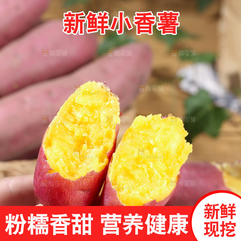 小香薯