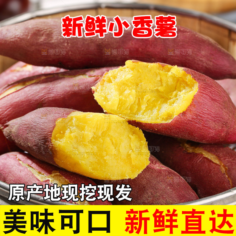 小香薯