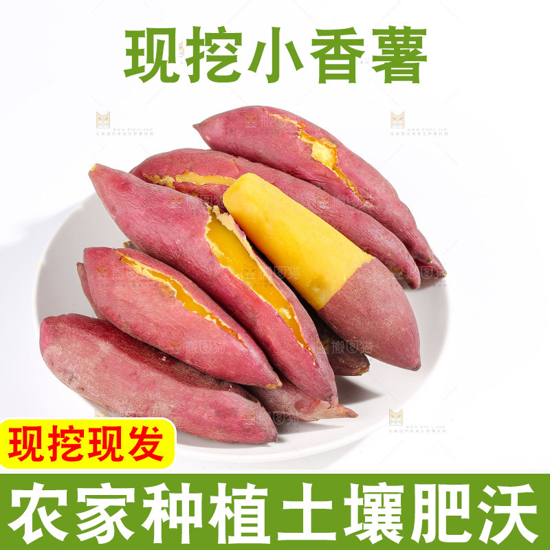 小香薯