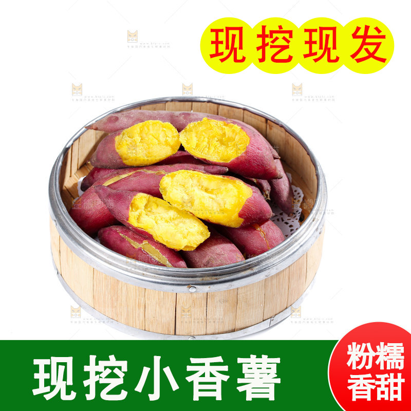 小香薯