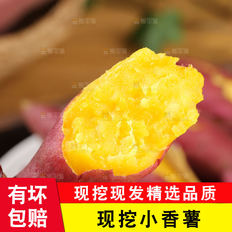 小香薯