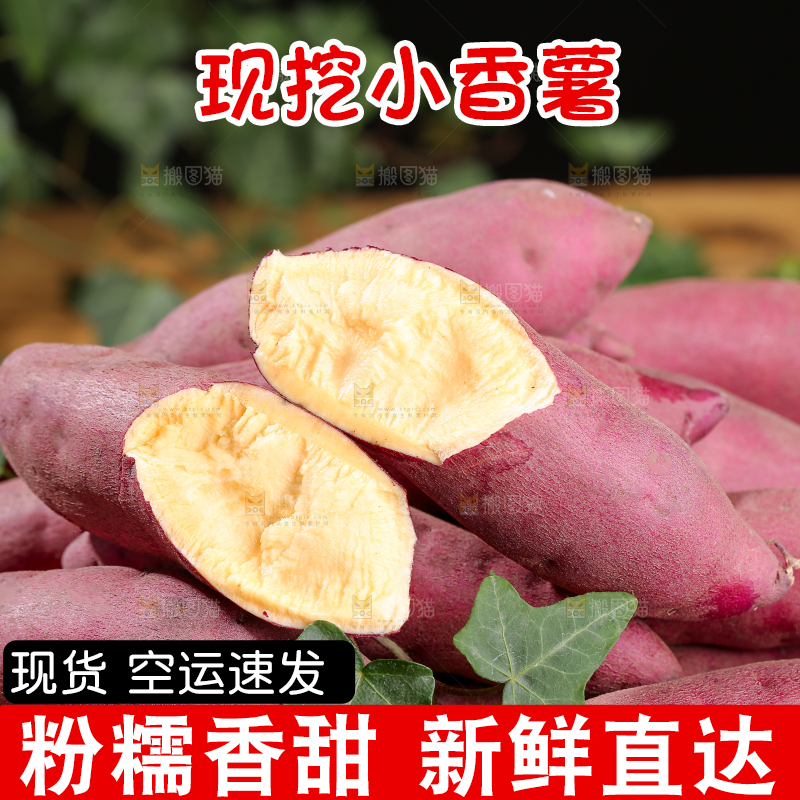 小香薯