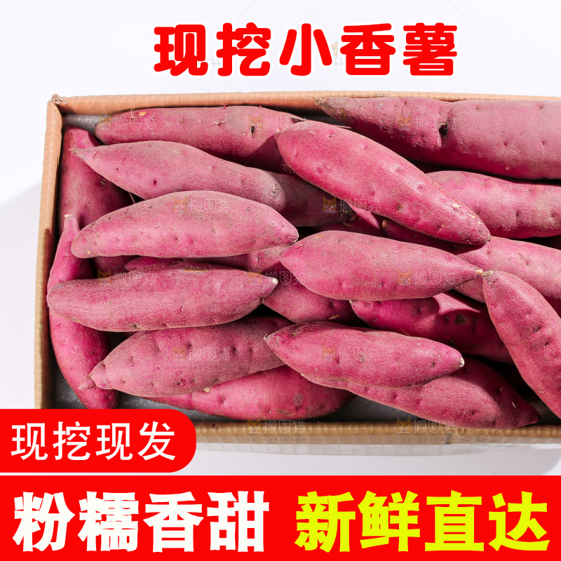 小香薯