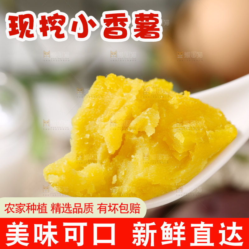 小香薯