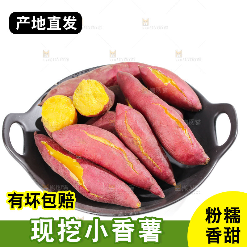 小香薯