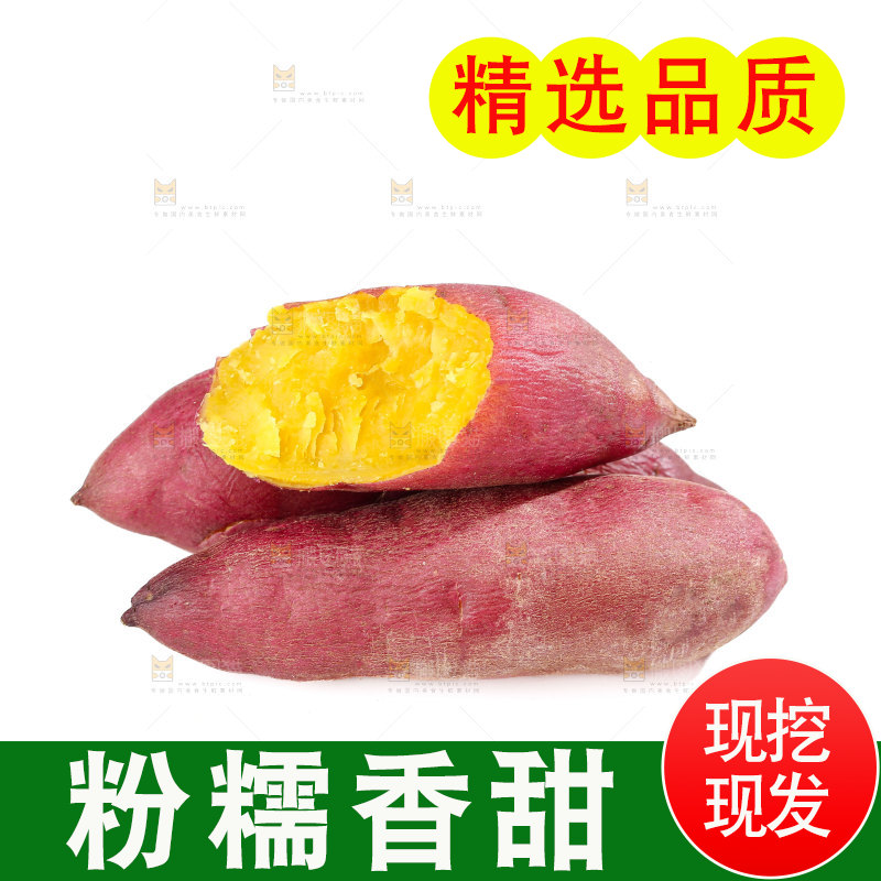 小香薯
