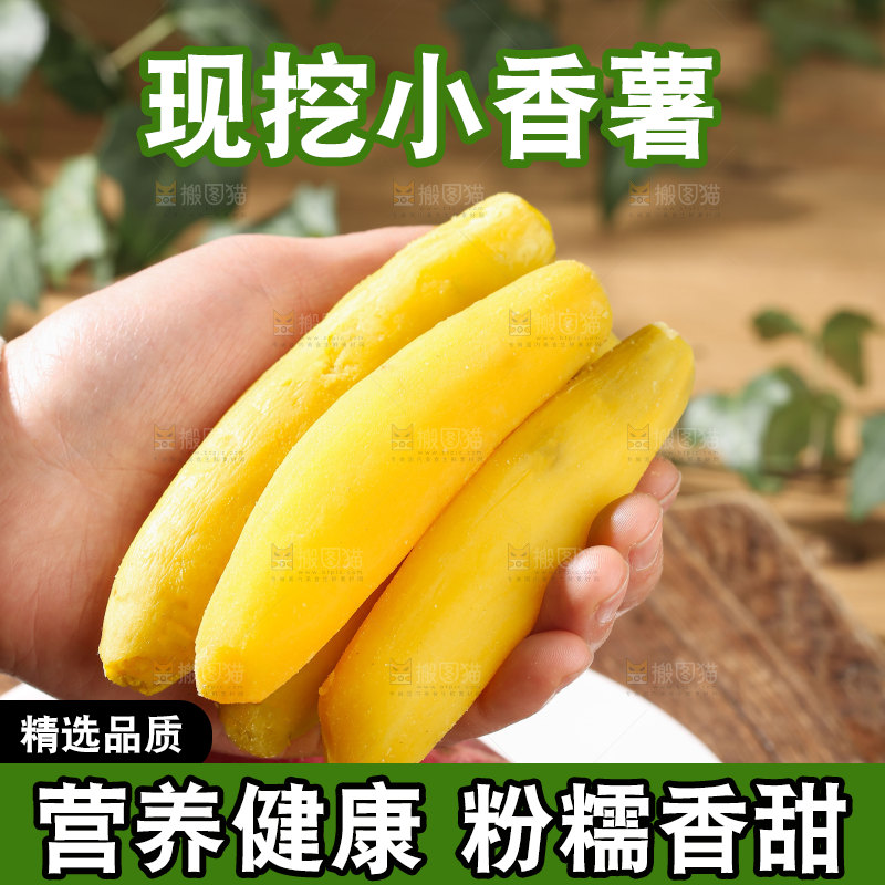 小香薯