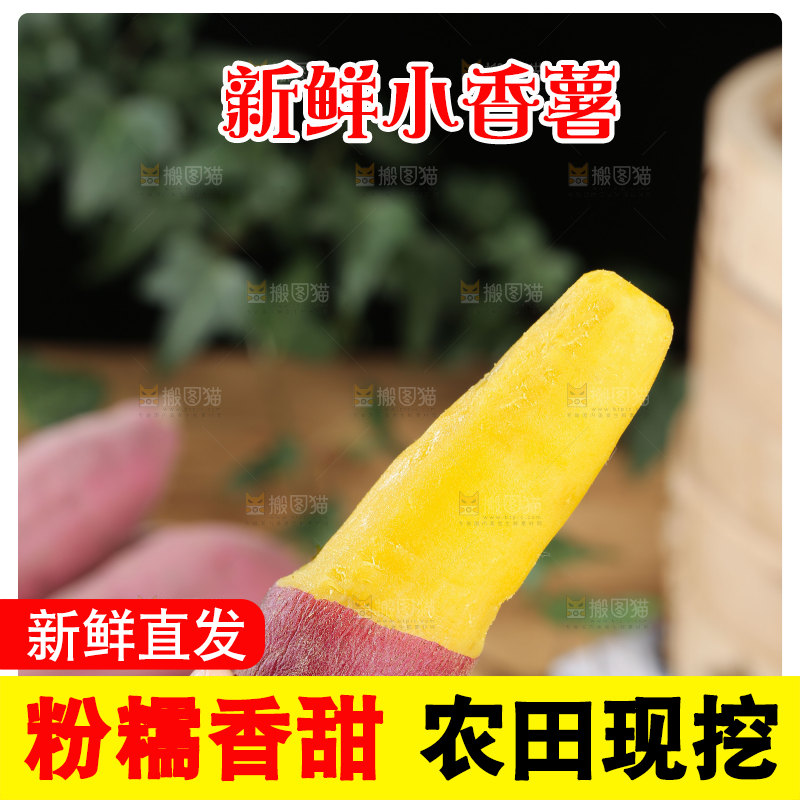 小香薯