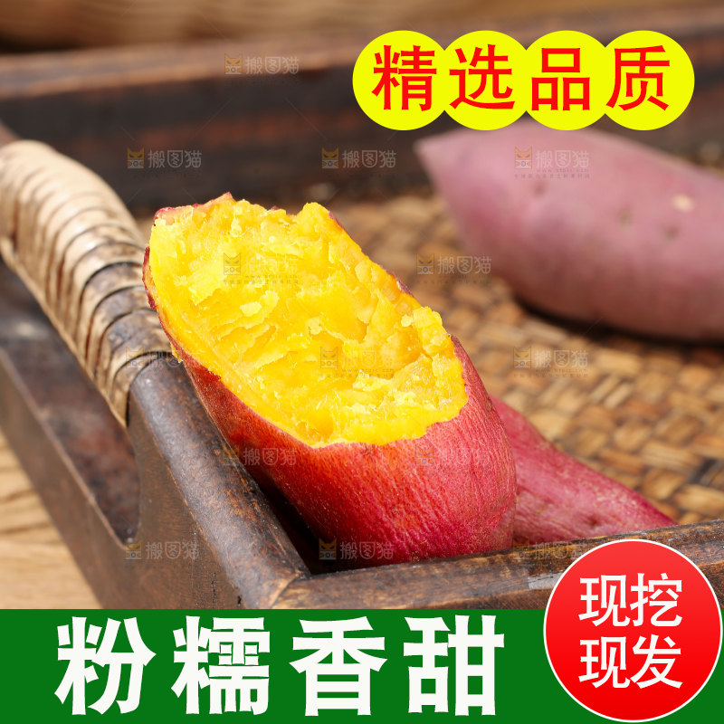 小香薯