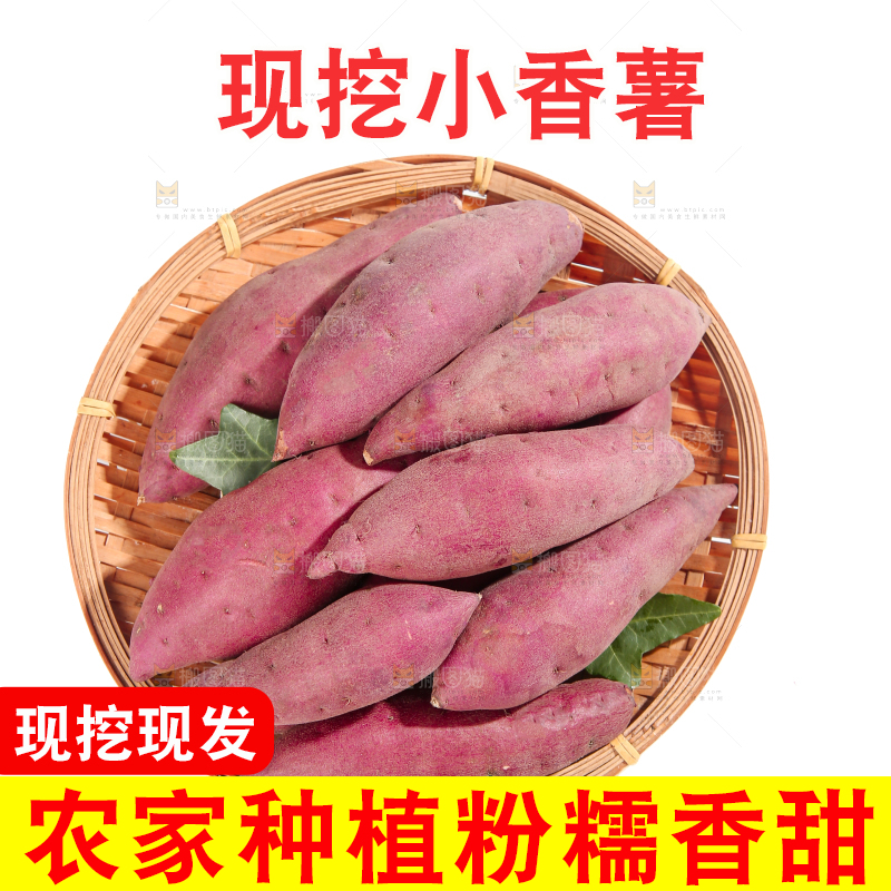 小香薯