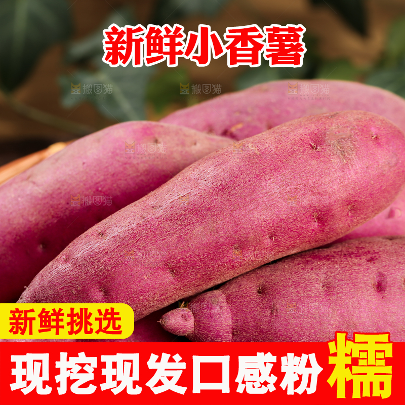 小香薯