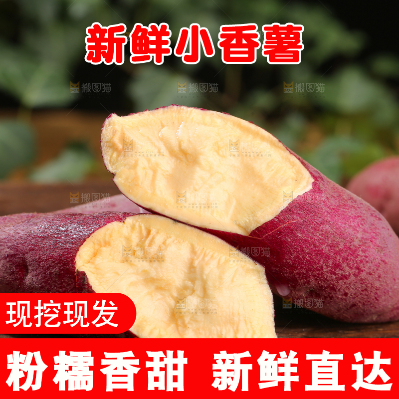 小香薯