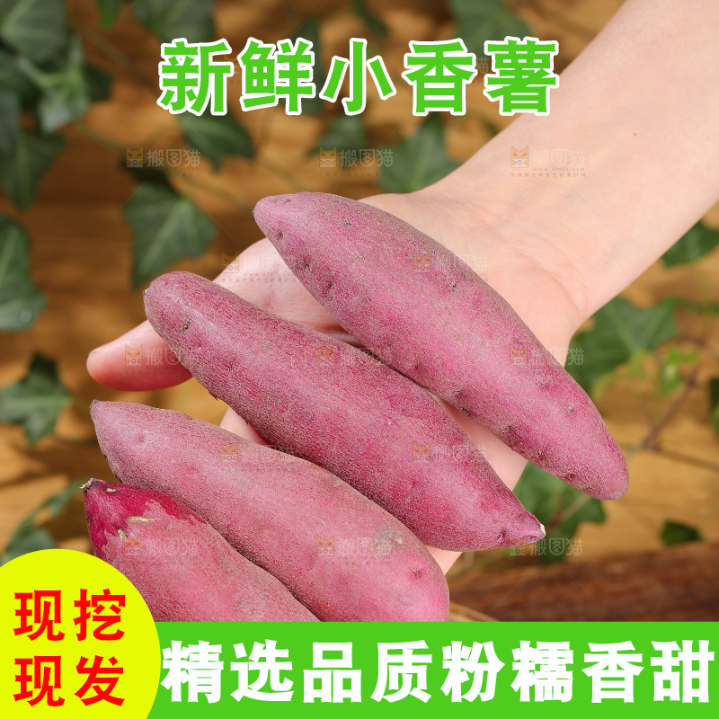 小香薯