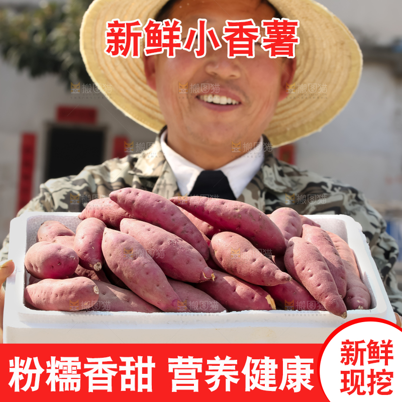 小香薯