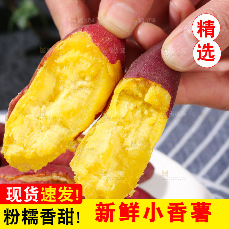 小香薯