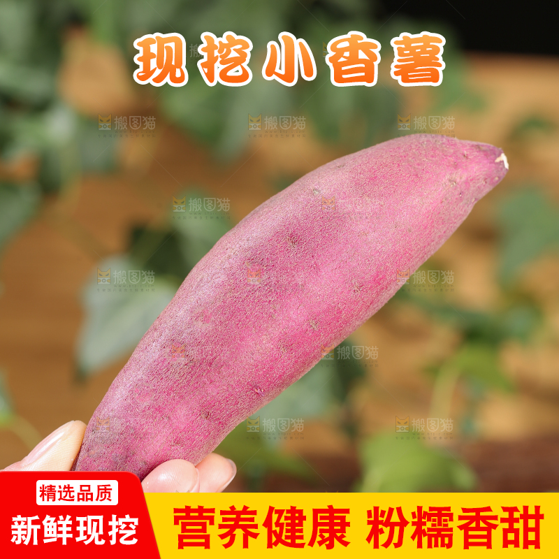 小香薯