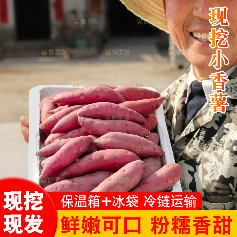 小香薯