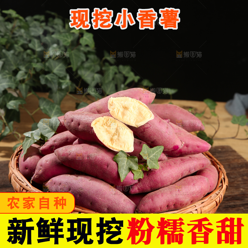 小香薯