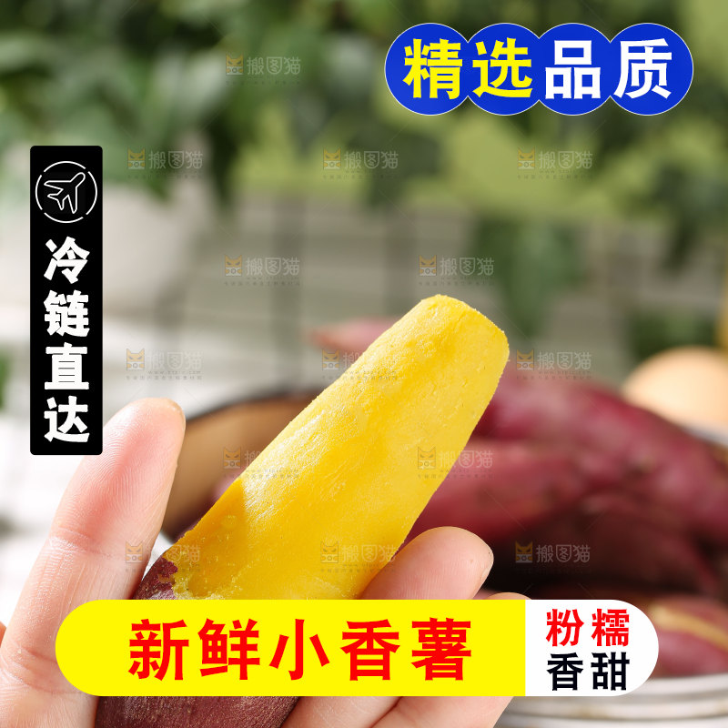 小香薯