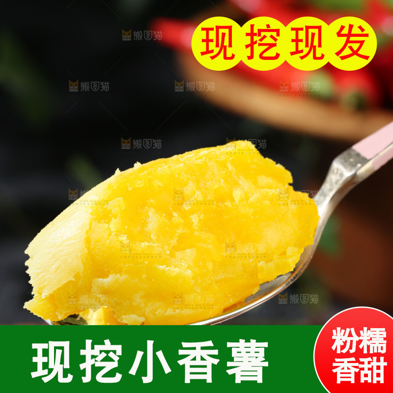小香薯