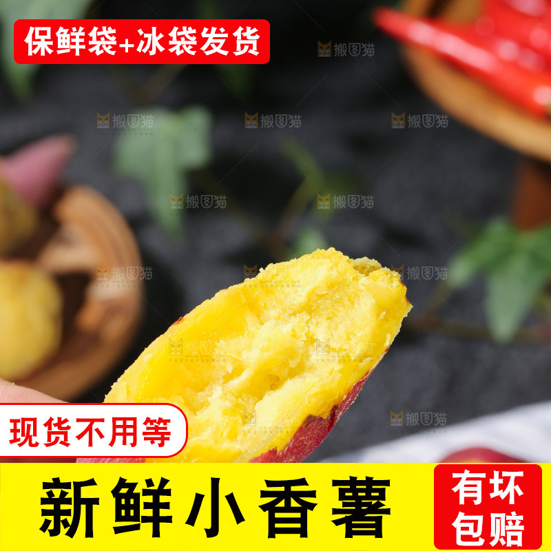 小香薯