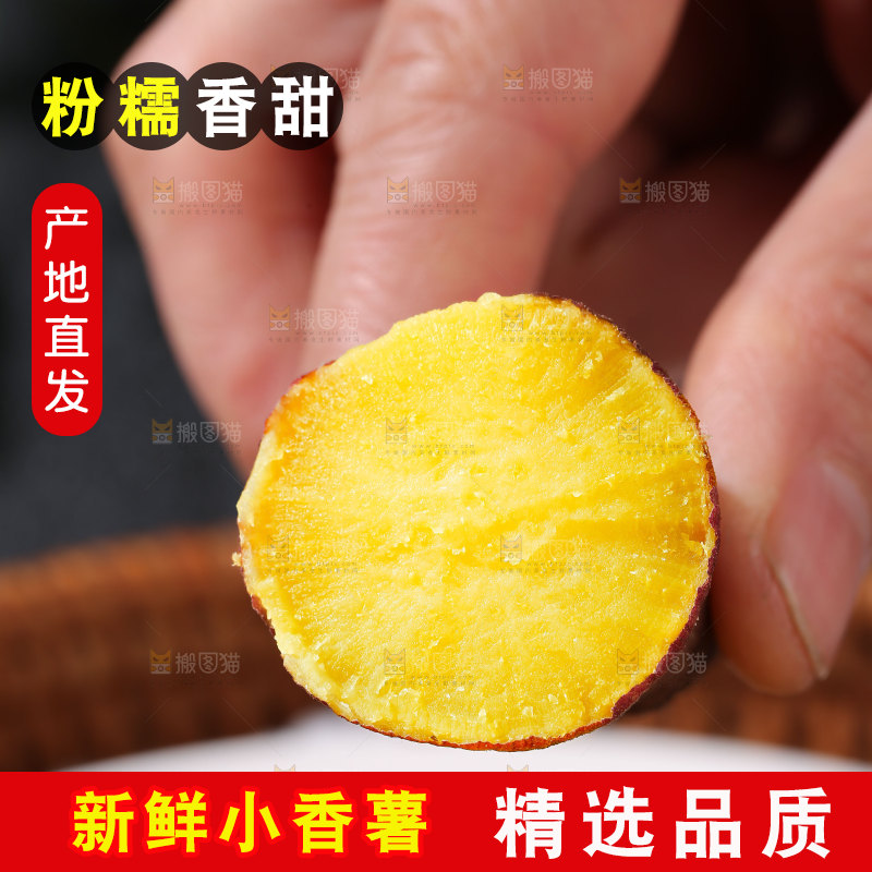 小香薯