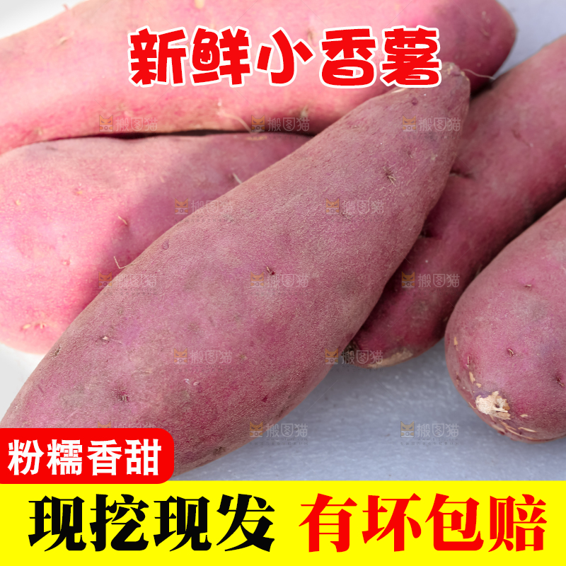 小香薯