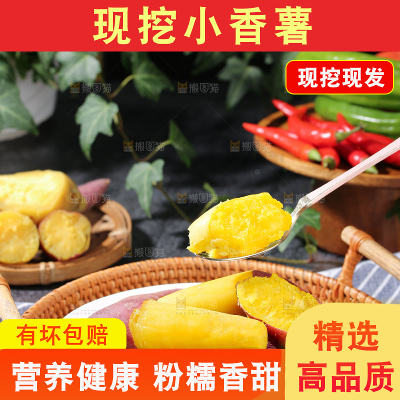 小香薯