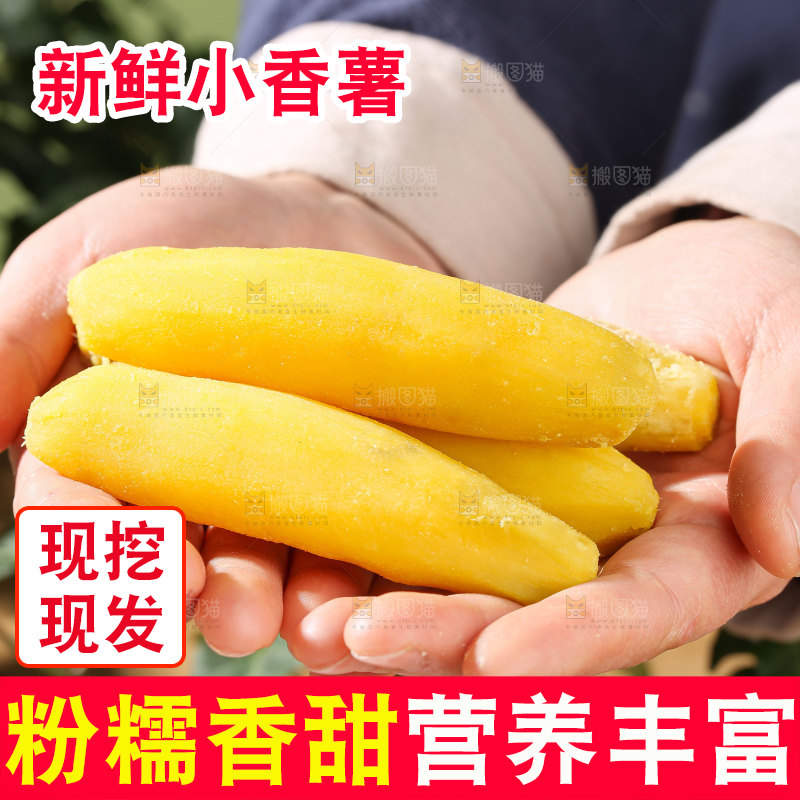 小香薯