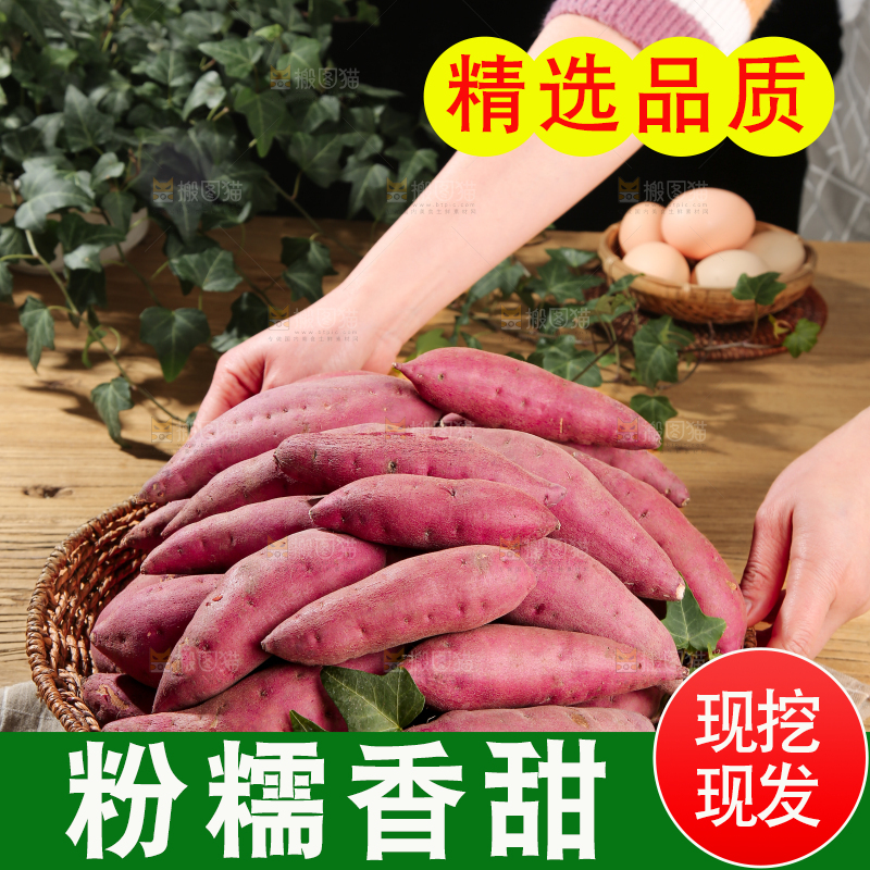 小香薯