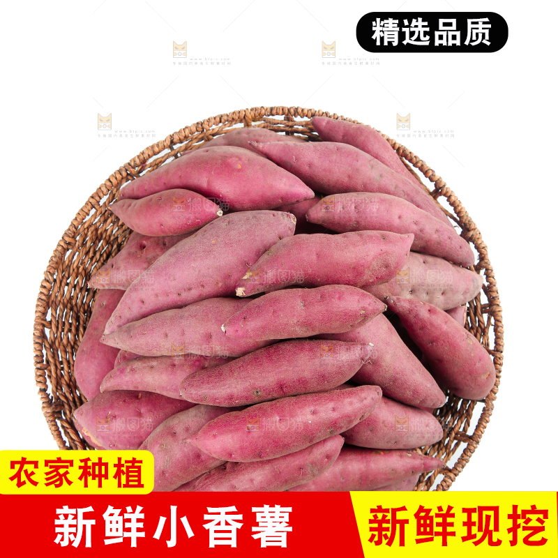 小香薯