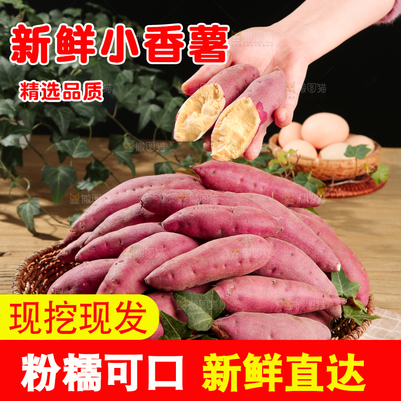 小香薯