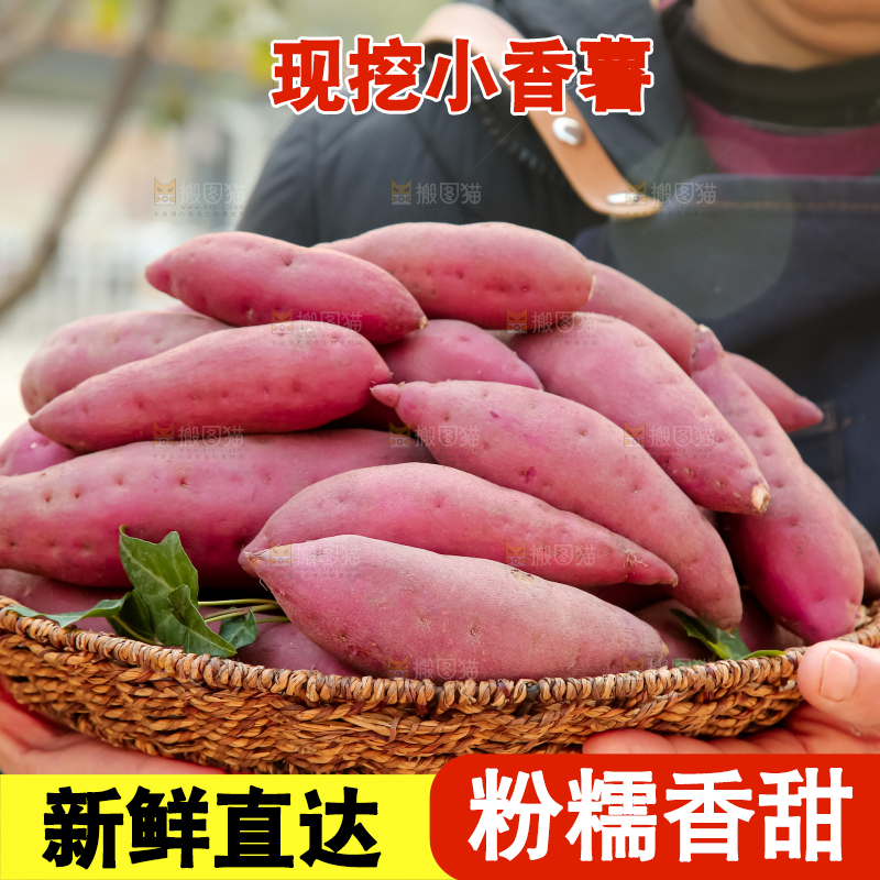 小香薯