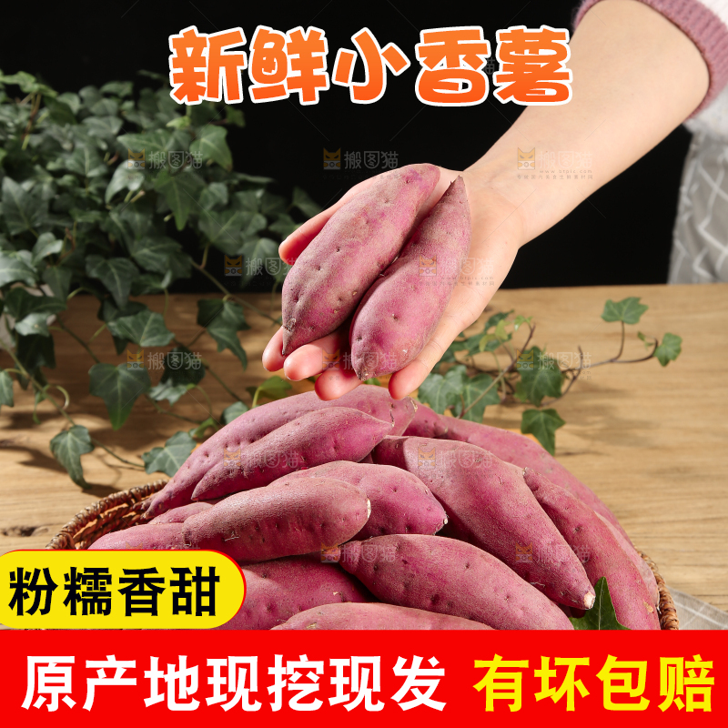 小香薯