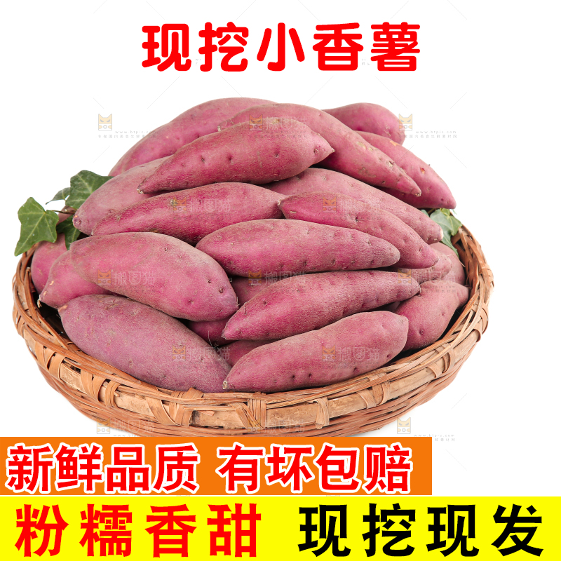 小香薯