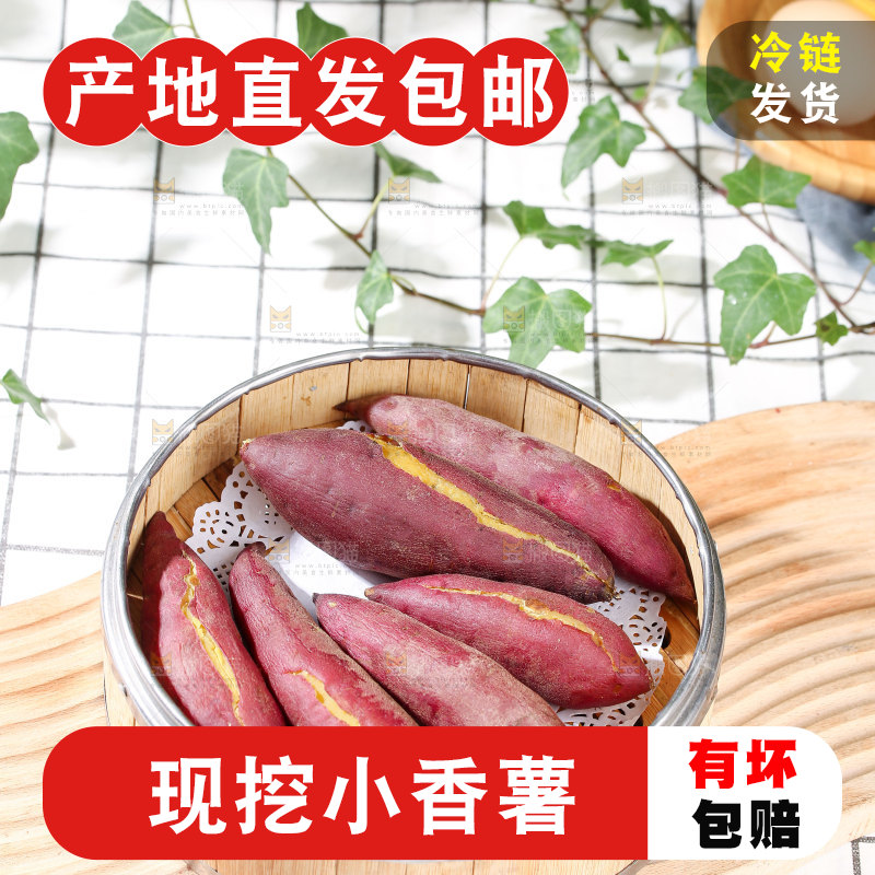 小香薯