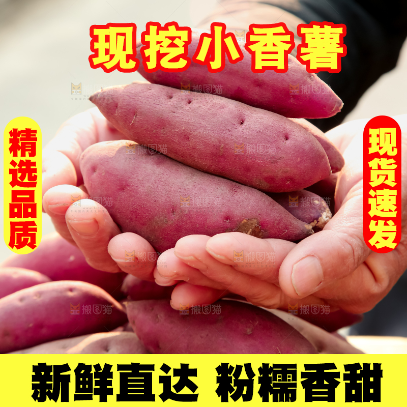 小香薯
