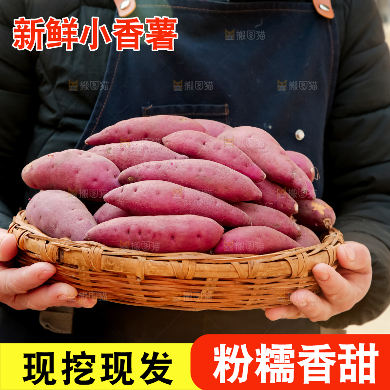 小香薯