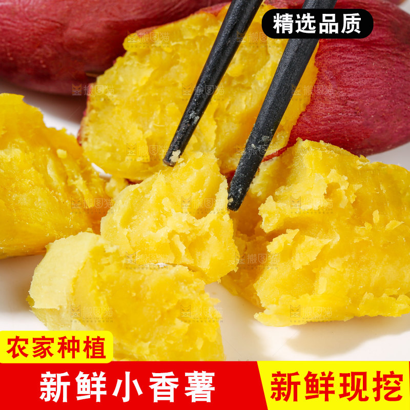 小香薯